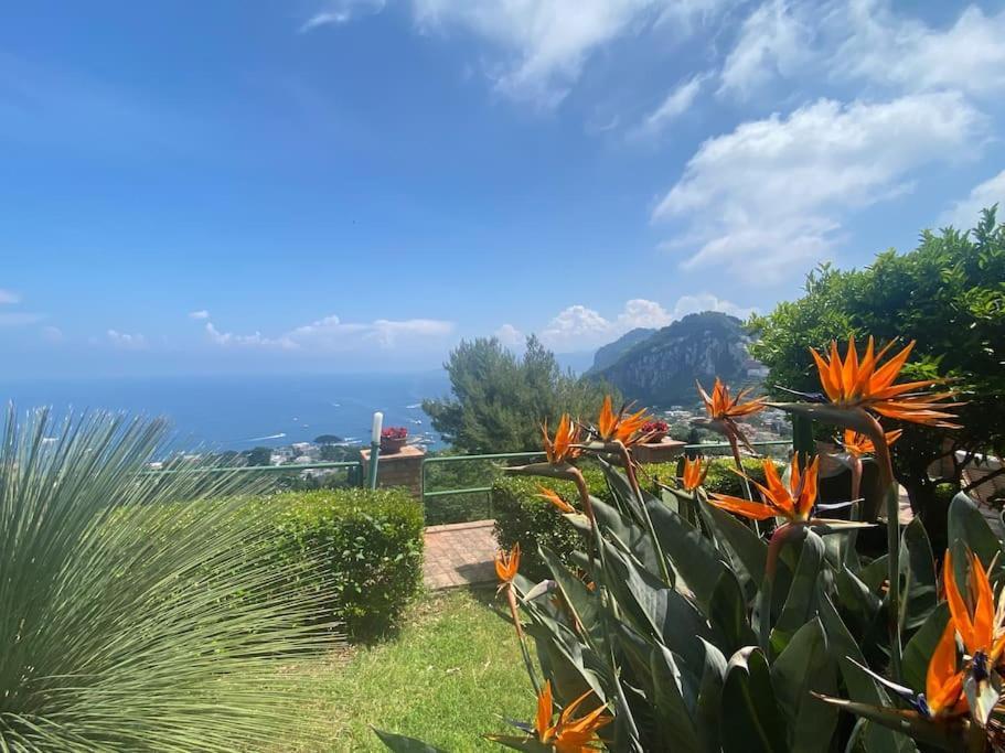 La Sisina - Capri